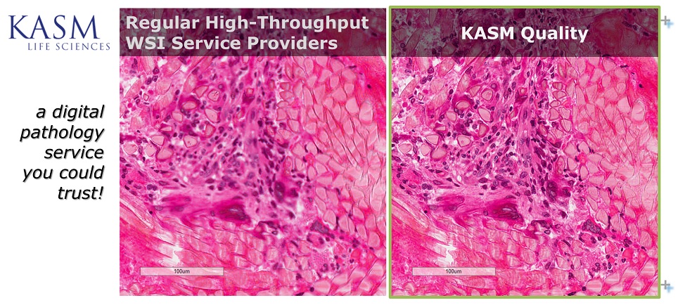 KASM Whole Slide Imaging Service